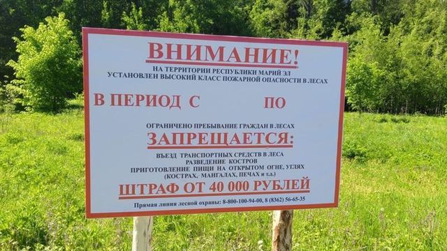 В Марий Эл ведутся работы по противопожарному обустройству лесов
