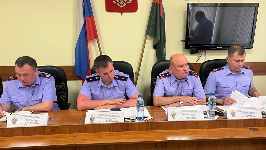 За полгода в Марий Эл расследовали 116 экономических преступлений