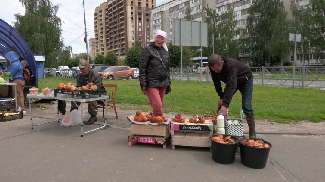 Дождливое лето – не беда: йошкаролинцы продают на рынках грибы и ягоды