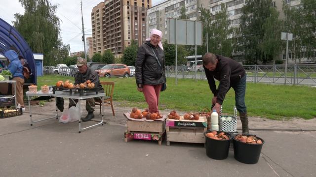 Дождливое лето – не беда: йошкаролинцы продают на рынках грибы и ягоды