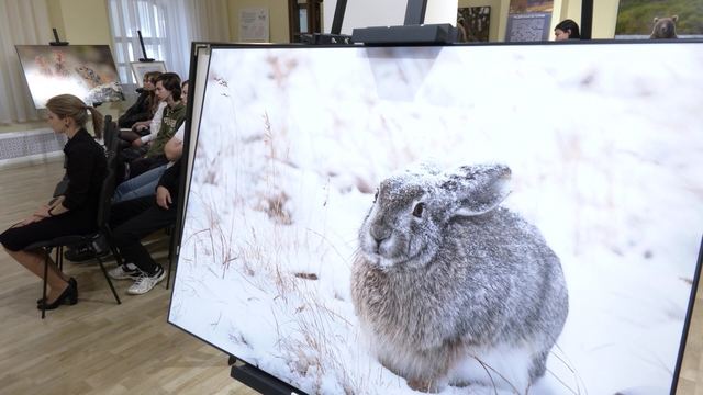 Тимофей Евсеев лӱмеш калыкле тоштерыште 1 сентябрь гыч «Первозданная Россия» лӱман ончер пашам ышташ тӱҥалеш