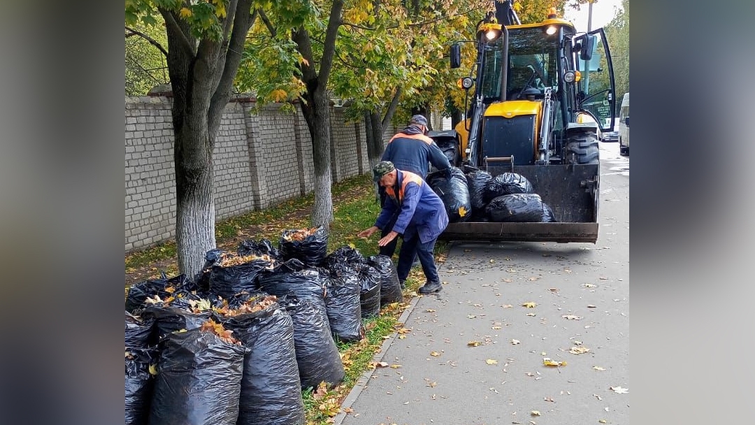 Более 100 мешков мусора собрали в Йошкар-Оле в рамках акции «Зелёная Россия»