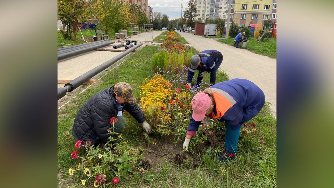 В цветниках Йошкар-Олы осенняя «пересменка»