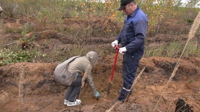 Республикыштына «Сохраним лес» акций кая