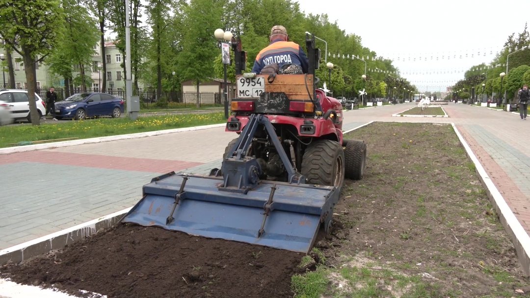 В Йошкар-Оле готовят к зиме городские клумбы
