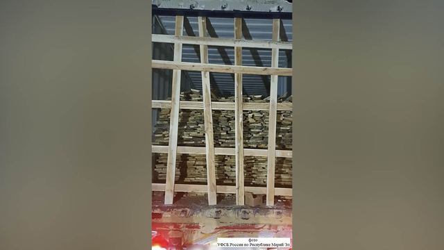 В Марий Эл возбуждено уголовное дело о контрабанде стратегически важных лесоматериалов