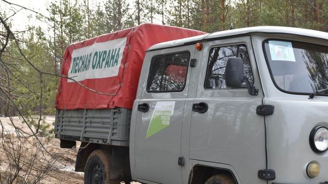 В Марий Эл завершился пожароопасный сезон в лесах