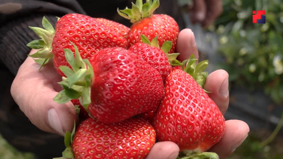 В Марий Эл стартует программа «СВОй бизнес» для участников СВО и их семей
