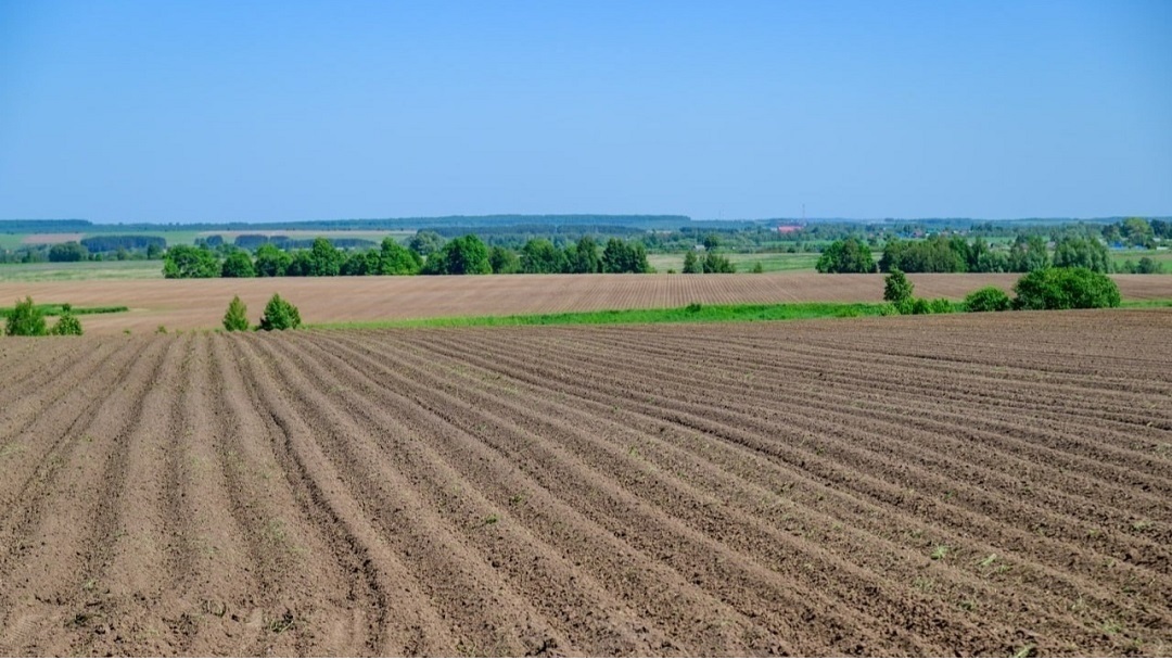 В Марий Эл близится к завершению уборочная кампания
