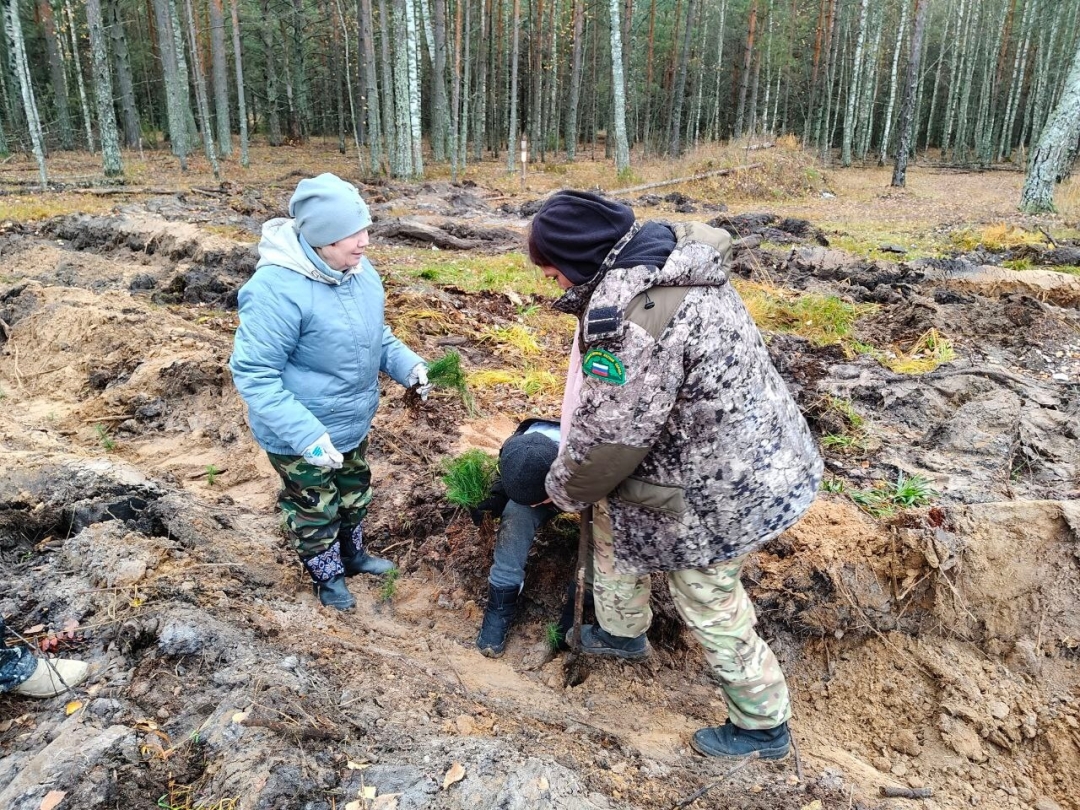 Марий Элыште пӱнчым шынденыт