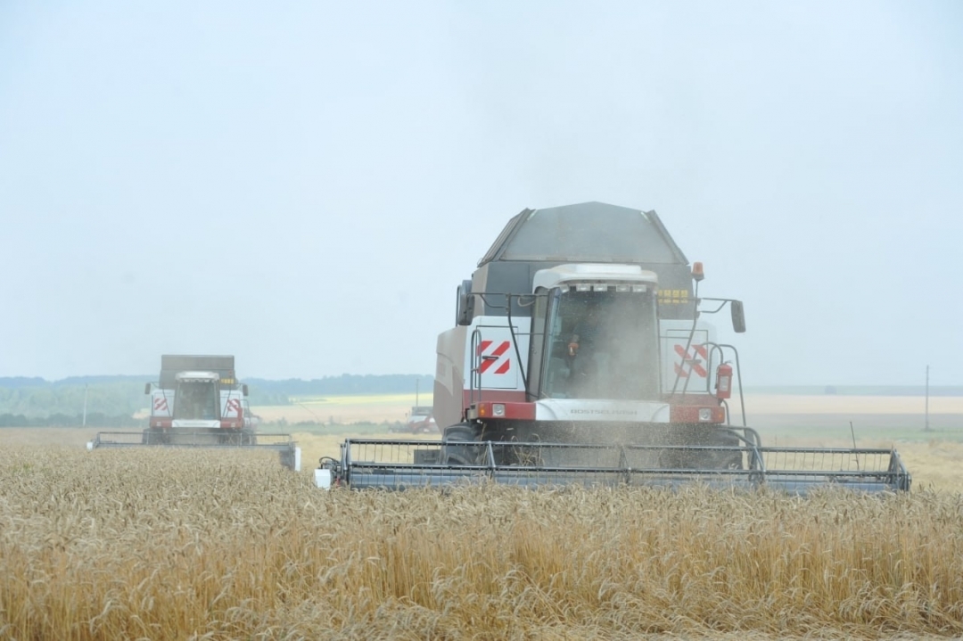 Маристат ялозанлык пашаеҥ-влакын 9 тылзаш лектышышт дене палдарен