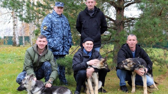 В Марий Эл на службу в уголовно-исполнительную систему поступили три хвостатых «новобранца»