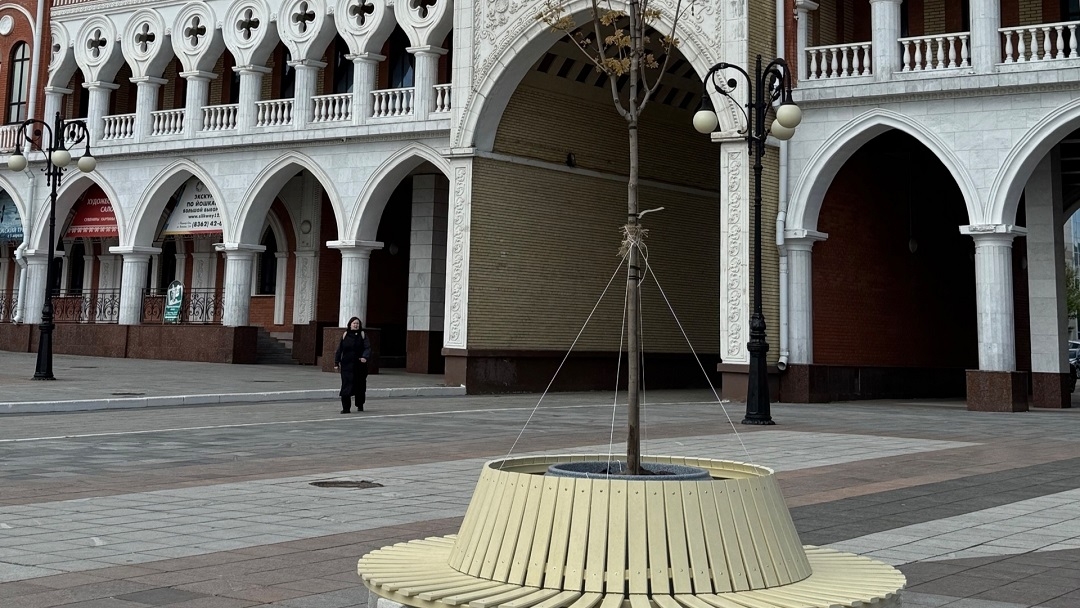 В Йошкар-Оле будут развивать контейнерное озеленение