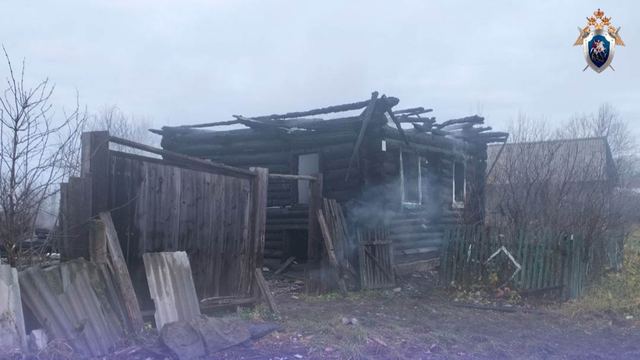 В Горномарийском районе при пожаре погибли два человека