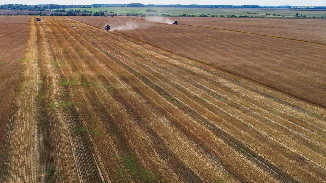 Аграрии Марий Эл демонстрируют рекордные показатели, несмотря на капризы погоды