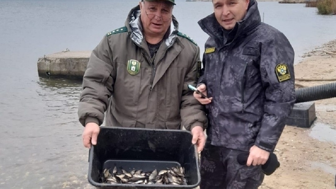 В Козьмодемьянске в Волгу выпустили более 250 кг мальков сазана