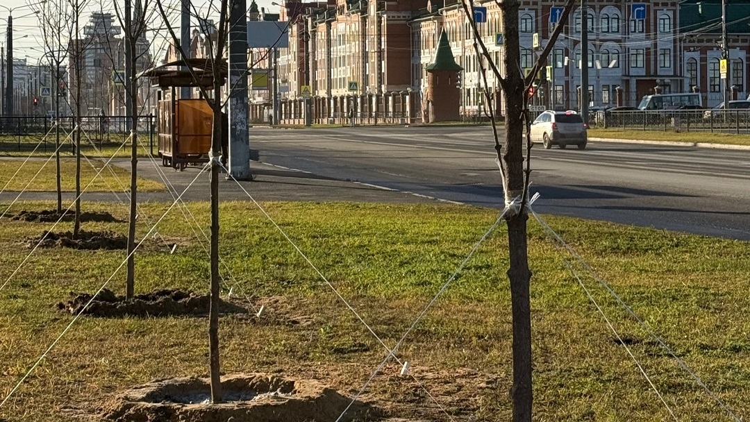 В Йошкар-Оле приступили к посадке новой партии деревьев