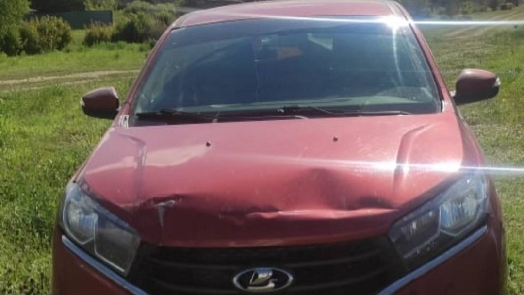 В Марий Эл у мужчины конфисковали автомобиль за нетрезвое вождение