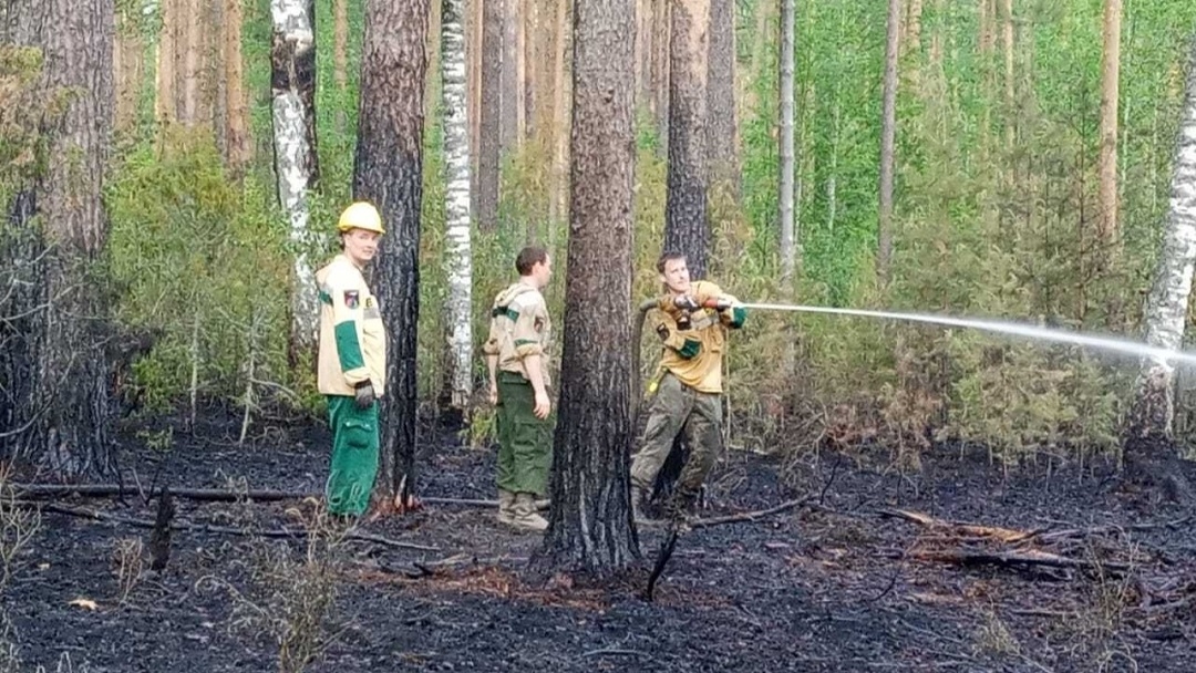 Неосторожное обращение с огнем и грозовые разряды: в Марий Эл подвели итоги пожароопасного сезона 2025 года