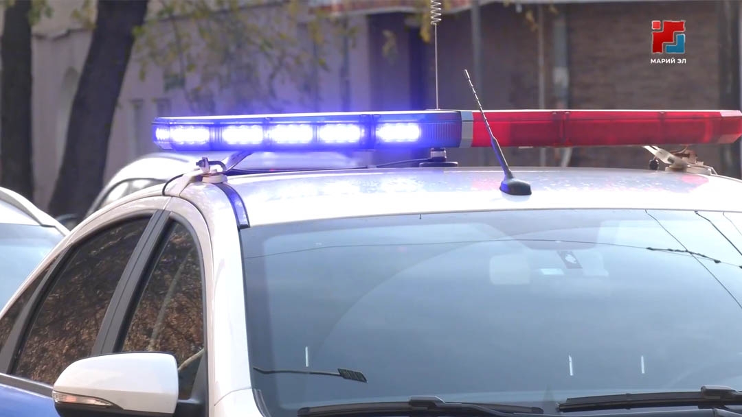 В Марий Эл подвели итоги рейдов: изъято оружие и выдворены мигранты