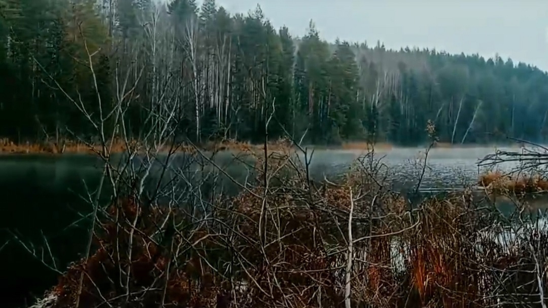 В Национальном парке «Марий Чодра» обследовали экологическую тропу «Серлан»