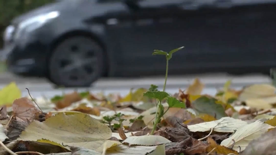 Более 470 протоколов за нарушения в сфере благоустройства составили в Йошкар-Оле с начала года