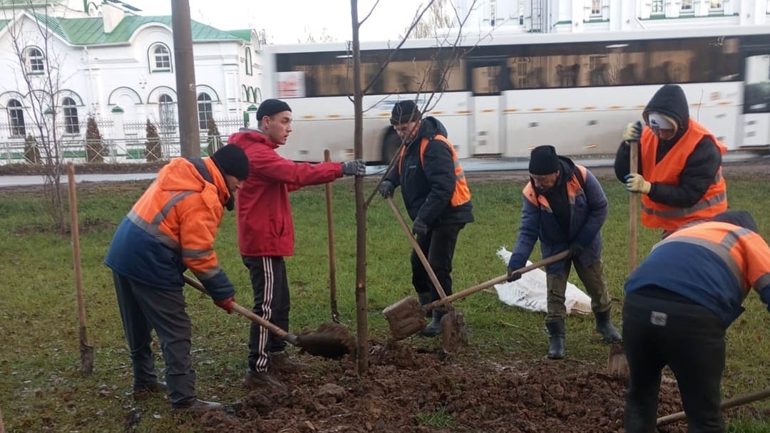 На улицах Йошкар-Олы высаживают сотни молодых деревьев