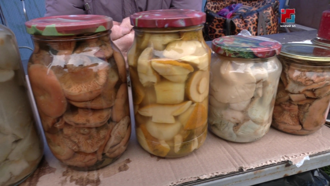 Из-за тёплой погоды в Марий Эл все еще продолжается грибной сезон