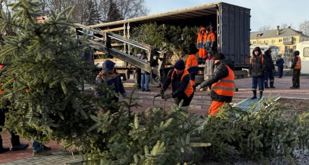 Йошкар-Оласе рӱдӧ каныме паркыште тошто кож олмеш уым шындат