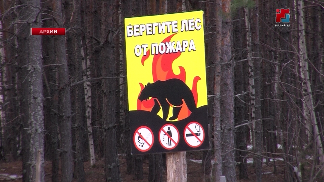В Марий Эл подвели итоги пожароопасного сезона