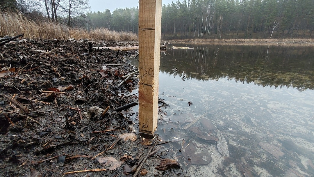 В Марий Эл начали наблюдать за уровнем воды на озере Яльчик