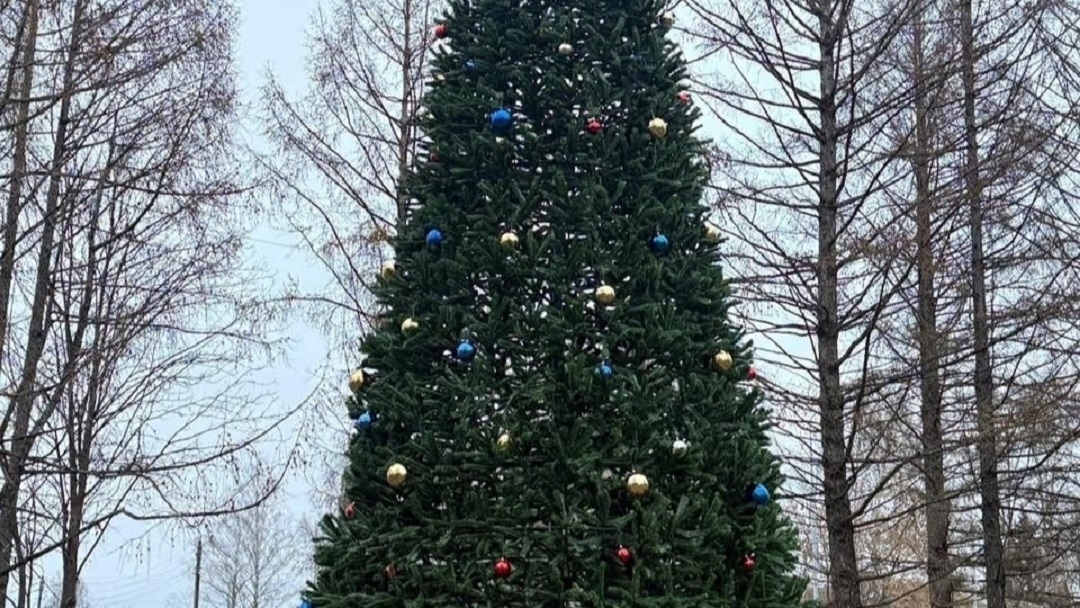 В Семёновке появилась первая ёлка