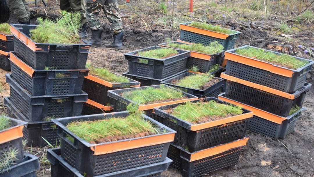 Технологии на страже леса: в Марий Эл пожар впервые обнаружили с помощью БПЛА