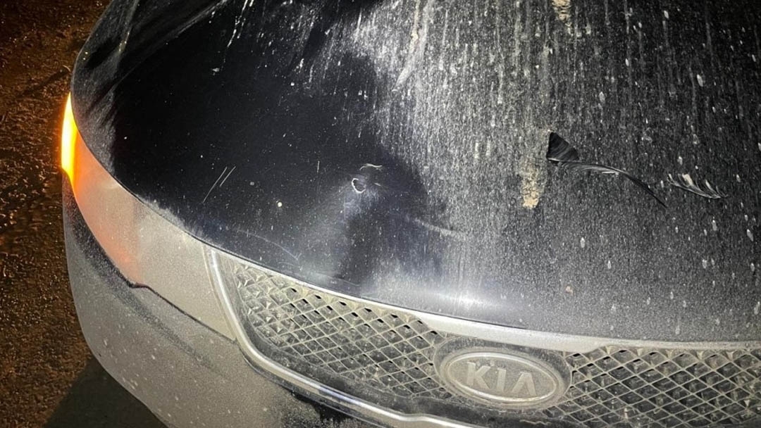 В Йошкар-Оле 43-летняя женщина сбила 8-летнегошкольника и скрылась с места ДТП