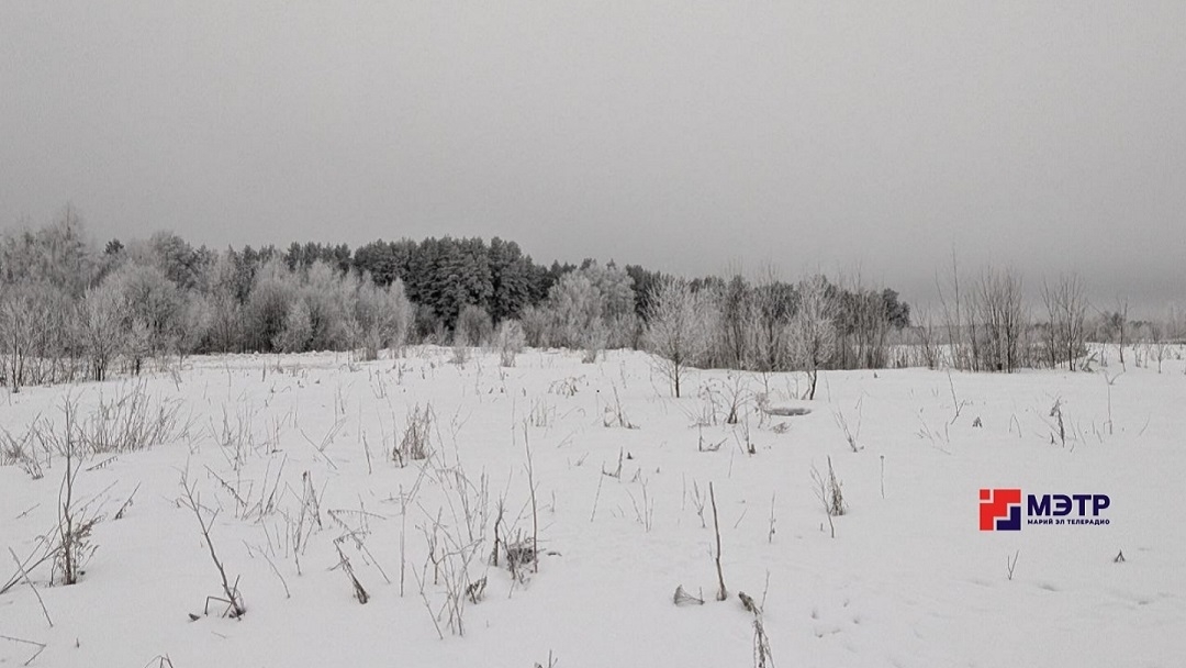 В начале следующей недели в Марий Эл может наступить климатическая зима