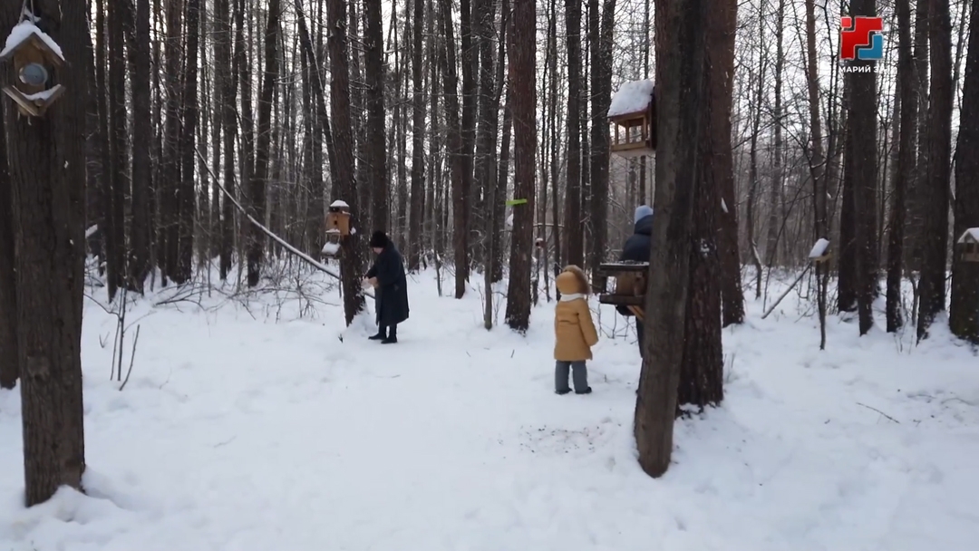 Погода в Марий Эл: морозы отступают, грядут снегопады и оттепель