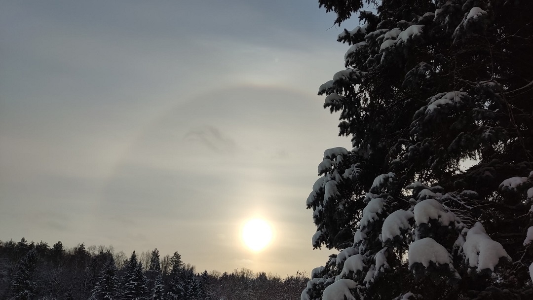 Гало в небе: в Ботсаду Йошкар-Олы запечатлели уникальное оптическое явление