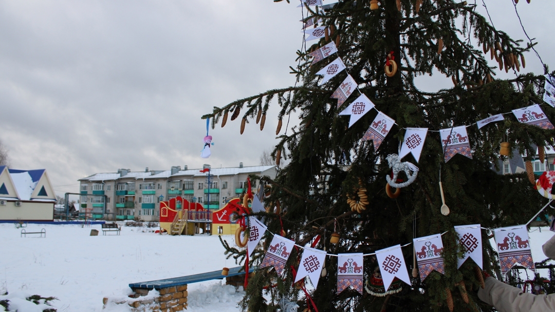 Три марийские елки-красавицы борются за звание лучших в России