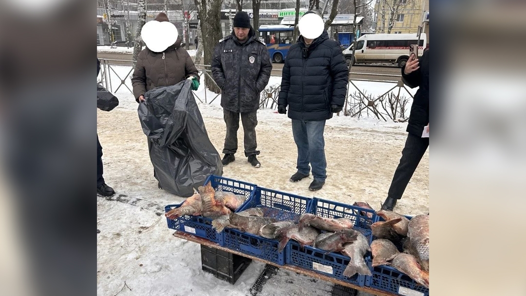 Свыше 100 килограммов рыбы изъяли в Марий Эл за два дня рейдов