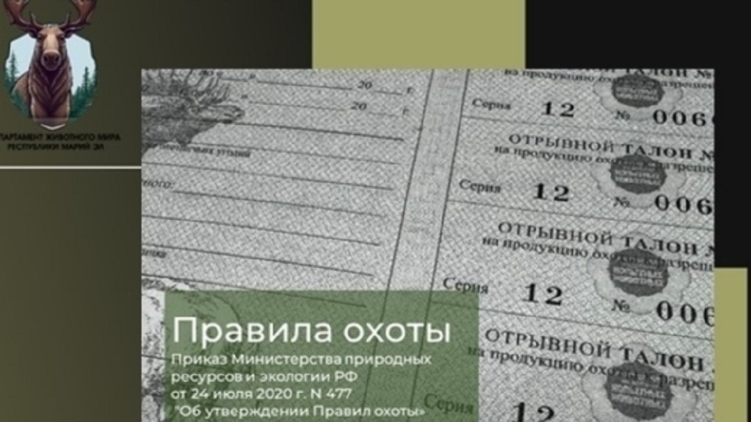 В Марий Эл охотовед нарушил правила охоты и погиб