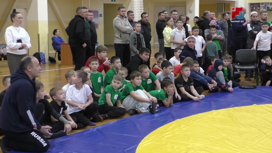 130 юных спортсменов из трёх регионов России боролись на поясах в посёлке Медведево