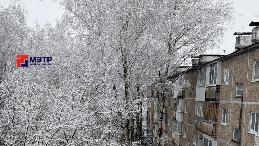 В Марий Эл к концу недели ожидается снег