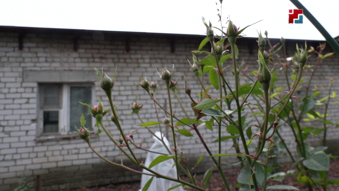 Зима в Марий Эл запаздывает почти на месяц