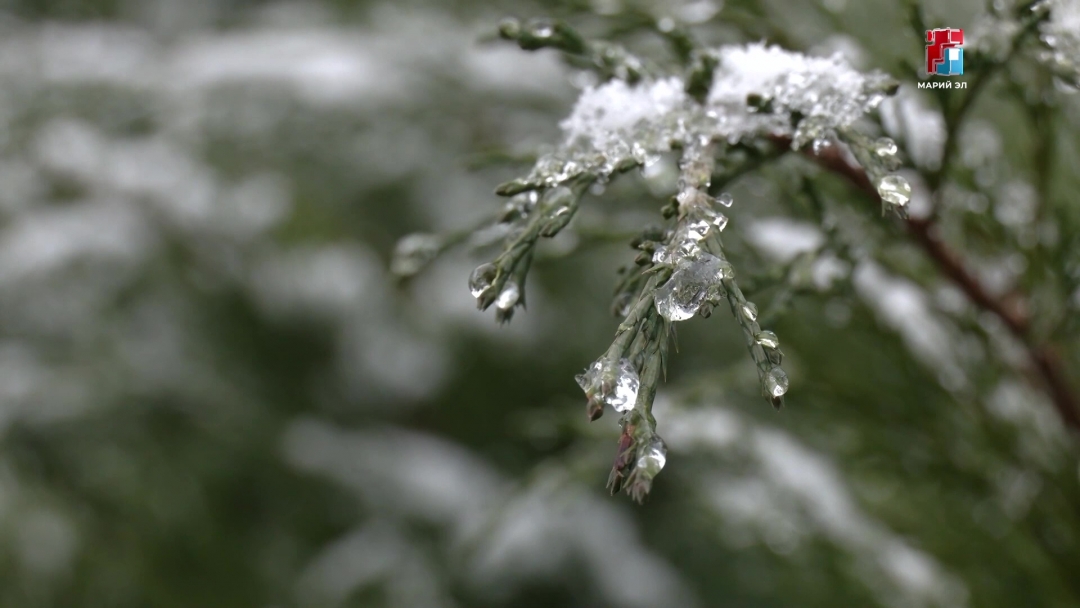 В Марий Эл продолжаются температурные качели