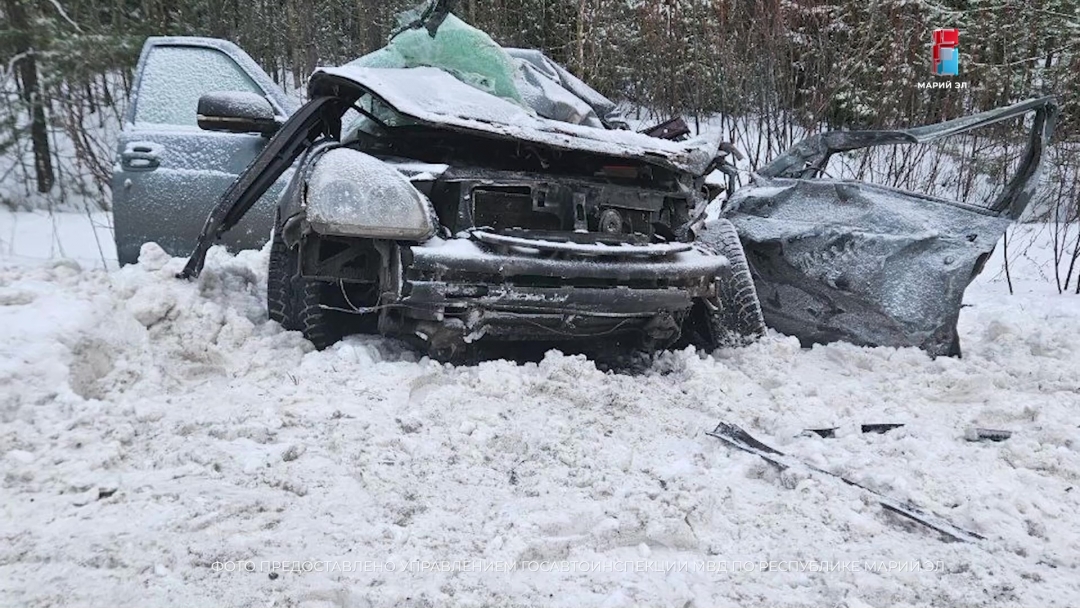 Сводка 112: сотрудники ГАИ открыли стрельбу; новогодние автохамы