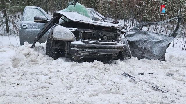 Сводка 112: сотрудники ГАИ открыли стрельбу; новогодние автохамы