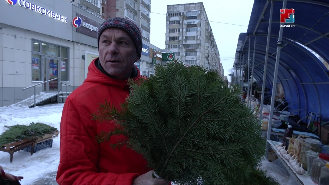 Йошкаролинцы рассказали, какую елку выбирают на Новый год