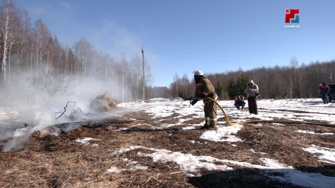 Спасатели Марий Эл отмечают профессиональный праздник