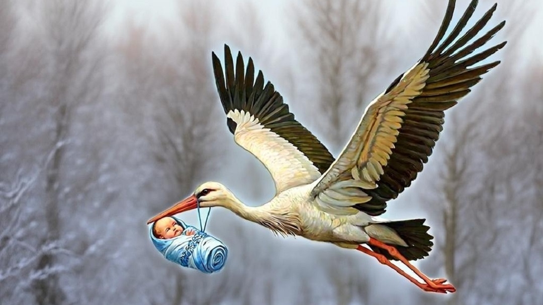 В последний месяц года «аист принес» в Марий Эл 339 малышей