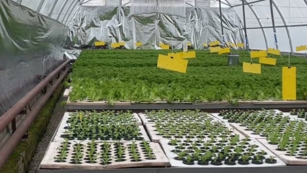 Родительские инициативы преображают школы Марий Эл